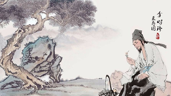 三七的价格