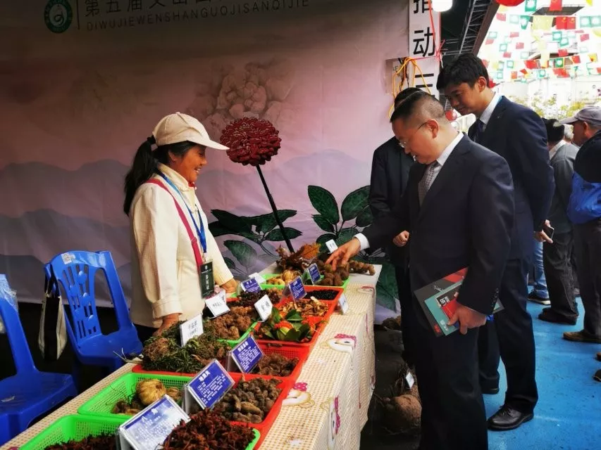 三七节现场图