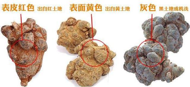 红土三七好还是黑土三七好?