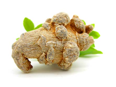 好的三七哪里有