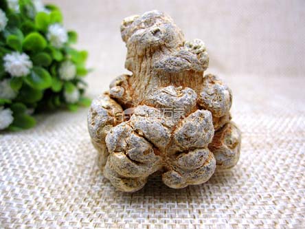 好三七哪里有卖