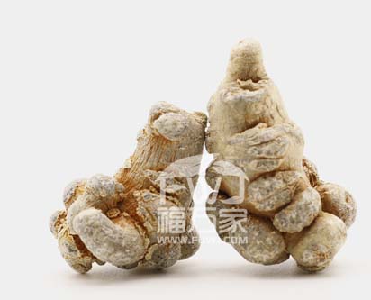 三七什么样才好