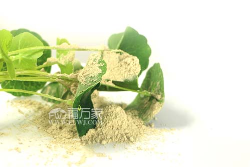 三七粉帮助改善睡眠